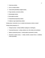 Referāts 'Nodokļu ietekme uz pakalpojuma sniedzēja uzņēmuma saimniecisko darbību', 17.