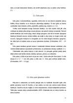 Referāts 'Dabīgo un mākslīgo krāsvielu ietekme uz zoba emalju', 10.