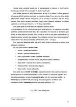 Referāts 'Dabīgo un mākslīgo krāsvielu ietekme uz zoba emalju', 11.