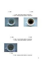 Referāts 'Dabīgo un mākslīgo krāsvielu ietekme uz zoba emalju', 28.