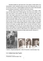 Referāts 'Skolēnu formas tērpi 20.gadsimta vidū, otrajā pusē un to aktualitāte mūsdienās', 6.