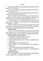 Diplomdarbs 'Interneta veikalu izstrāde un to attīstības tendences Latvijā', 6.