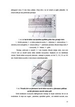 Referāts 'Ūdens siltās grīdas', 10.