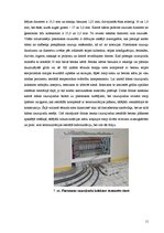 Referāts 'Ūdens siltās grīdas', 11.