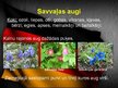 Prezentācija 'Vācija', 12.