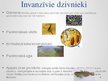 Prezentācija 'Invanzīvās sugas Latvijā', 5.