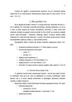 Referāts 'Zviedrijas mārketinga vides analīze', 8.