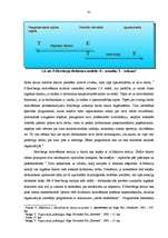 Diplomdarbs 'Personāla motivēšanas nozīme personāla vadības procesā a/s "Hansabanka"', 41.