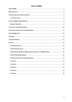 Paraugs 'Siltumapgāde', 2.