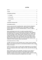 Konspekts 'Maizes iepakošana', 2.