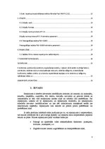Konspekts 'Maizes iepakošana', 4.