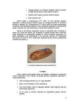Konspekts 'Maizes iepakošana', 8.