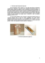 Konspekts 'Maizes iepakošana', 9.