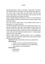 Referāts 'Latvijas izglītības sistēmas analīze - pozitīvās un negatīvās puses', 3.