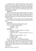 Referāts 'Latvijas izglītības sistēmas analīze - pozitīvās un negatīvās puses', 5.