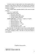 Referāts 'Latvijas izglītības sistēmas analīze - pozitīvās un negatīvās puses', 6.