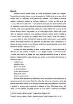 Referāts 'Nonsensa filosofiskie aspekti', 3.