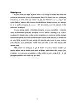 Referāts 'Nonsensa filosofiskie aspekti', 15.