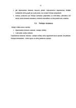 Prakses atskaite 'Kvalifikācijas prakse Finanšu ministrijā', 41.