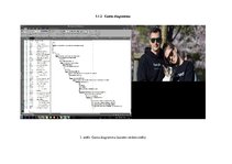 Referāts 'Būvniecības projektu vadīšana', 11.