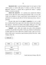 Diplomdarbs 'Literāro darbu izmantošanas iespējas 4-5 gadus vecu bērnu iztēles attīstības sek', 10.