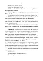 Diplomdarbs 'Literāro darbu izmantošanas iespējas 4-5 gadus vecu bērnu iztēles attīstības sek', 13.