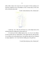 Diplomdarbs 'Literāro darbu izmantošanas iespējas 4-5 gadus vecu bērnu iztēles attīstības sek', 57.