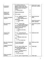 Paraugs 'Sporta nodarbības plāns basketbolā', 2.