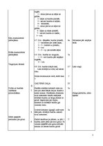 Paraugs 'Sporta nodarbības plāns basketbolā', 3.