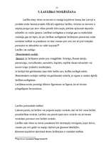 Referāts 'Laulības noslēgšanas kārtība', 12.