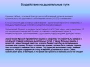 Prezentācija 'Курение и молодёжь', 15.