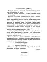 Referāts 'Pašizmaksas kalkulācija', 6.