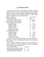 Referāts 'Pašizmaksas kalkulācija', 32.