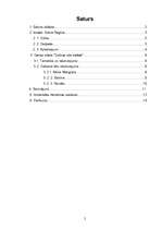 Konspekts 'Regīna Ezera "Dzilnas sila balāde"', 2.