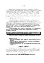 Referāts 'Nodokļi', 2.