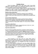 Referāts 'Nodokļi', 4.