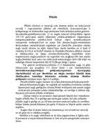 Referāts 'Ārstnieciskās augu tējas manās mājās', 10.