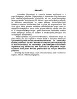 Referāts 'Ārstnieciskās augu tējas manās mājās', 12.