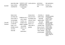 Konspekts 'Kārtas viduslaikos', 2.