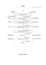 Prakses atskaite 'Furagīna ražošana. Nitrofurfurola iegūšana', 1.