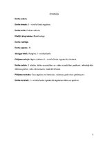 Prakses atskaite 'Furagīna ražošana. Nitrofurfurola iegūšana', 3.