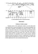 Referāts 'Bezvadu datu pārraide', 5.