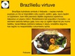 Prezentācija 'Brazīlija', 12.