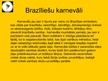 Prezentācija 'Brazīlija', 18.