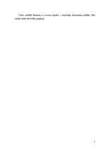 Referāts 'Demogrāfiskā situācija Cēsu rajonā laikā no 1990. līdz 2005. gadam', 3.