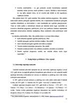 Referāts 'Demogrāfiskā situācija Cēsu rajonā laikā no 1990. līdz 2005. gadam', 13.