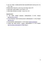 Referāts 'Demogrāfiskā situācija Cēsu rajonā laikā no 1990. līdz 2005. gadam', 20.