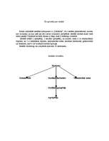 Konspekts 'Sociālā darba darbinieku struktūra un amatu apraksti', 1.