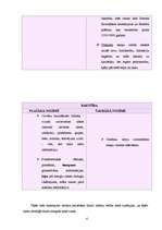 Referāts 'Rakstības pirmsākumi pasaulē un Latvijā', 4.