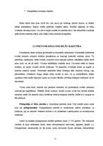 Referāts 'Rakstības pirmsākumi pasaulē un Latvijā', 6.